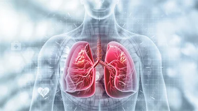 Thoracoscopic (Lung) Surgeries